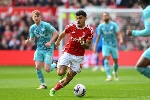 两位明星 两位明星