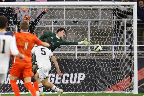 违停行为 违停行为