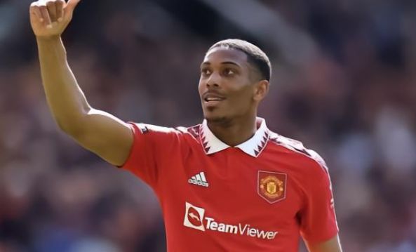 塑米兰的青 塑米兰的青