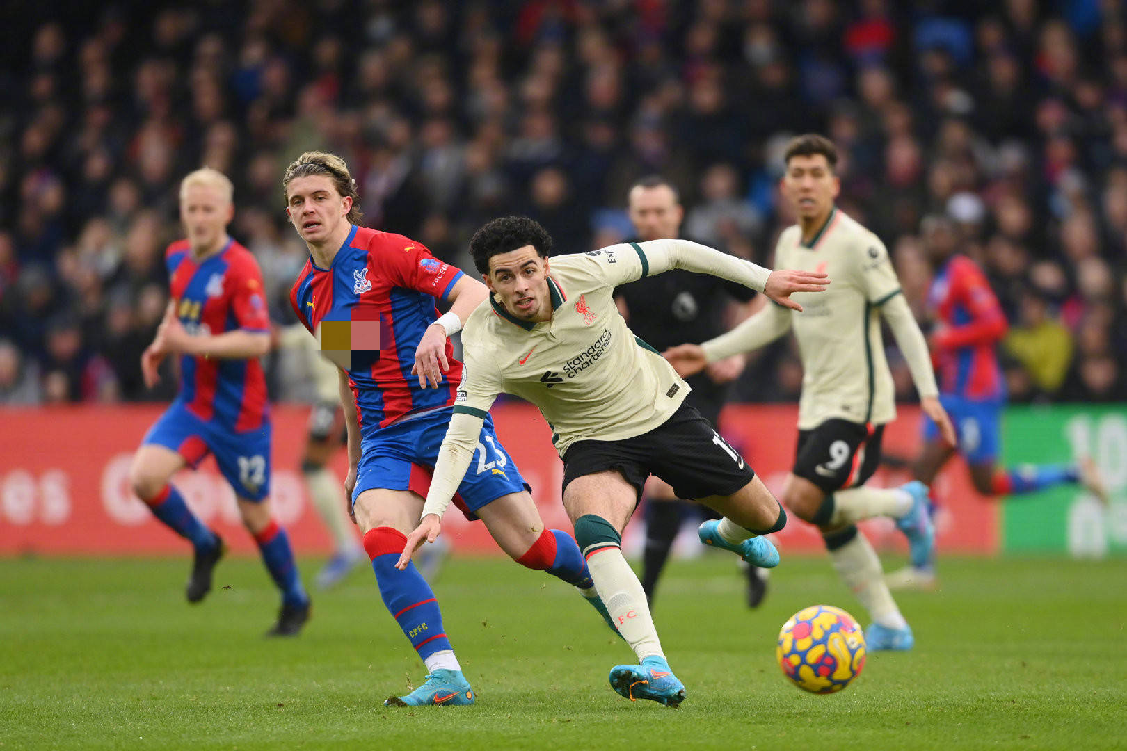 渴望看到球 渴望看到球